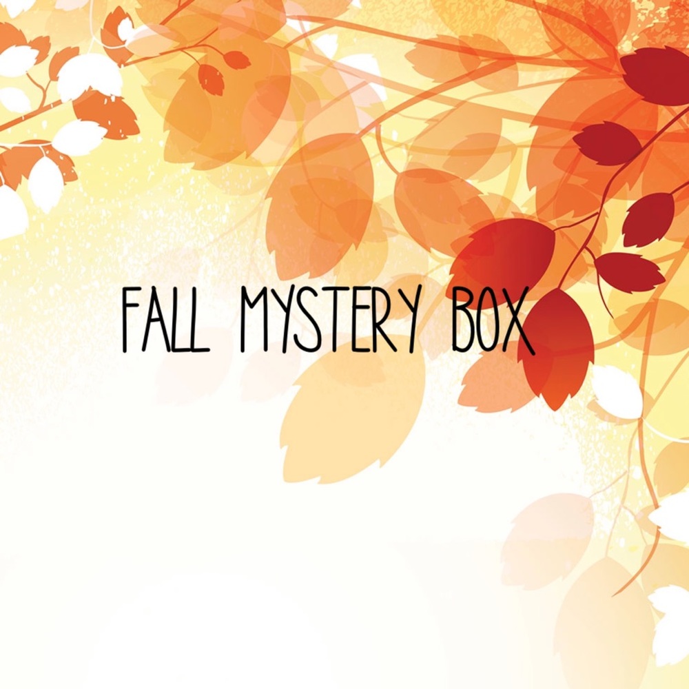 FALL MYSTERY RESELLER BOX 7 FOR 55
